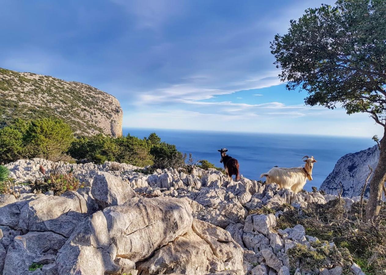 Appartamento Tra Mare E Montagna Baunei Dış mekan fotoğraf